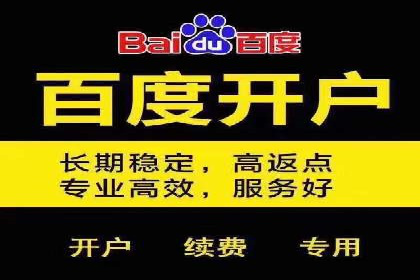 竞价推广中的着陆页策略：成功案例解读